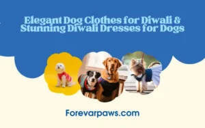 Dog Clothes for Diwali