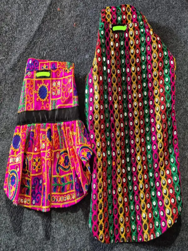 Dog Mirror Work Dress Set