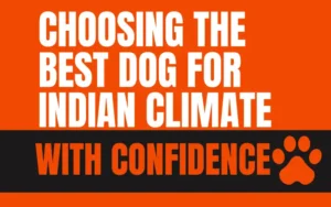 best dog breeds for indian climate